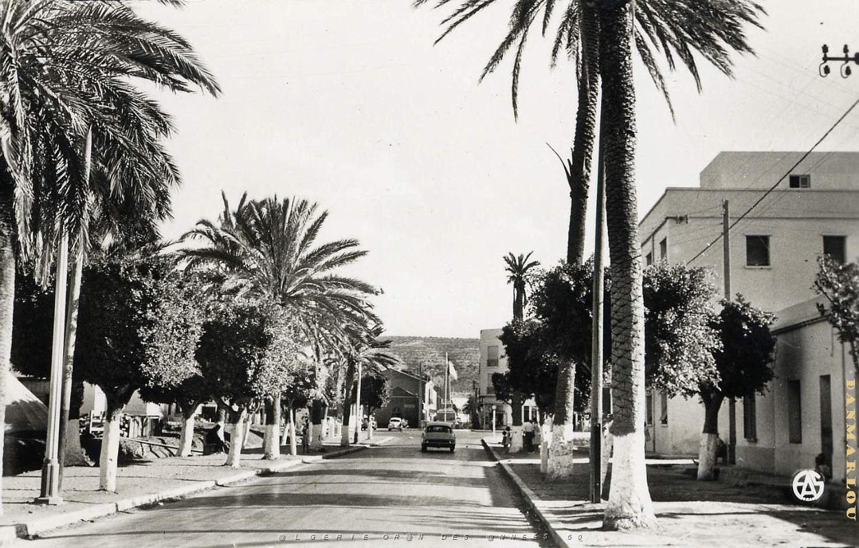 Arzew 511- Ae de la Liberation COLLECTION DES AMIS DE ND DE SANTA CRUZ.jpg